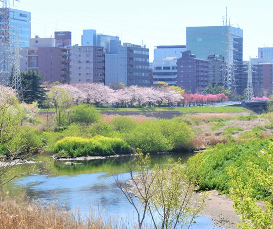 沢の水で淹れたコーヒーを出したいと言う願いに真摯に向き合ってくれた会社です