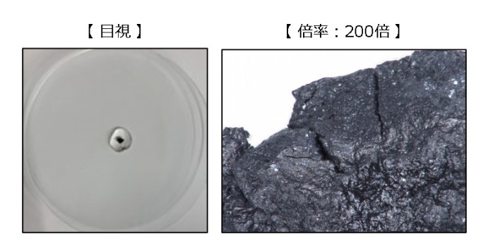 外観観察試験