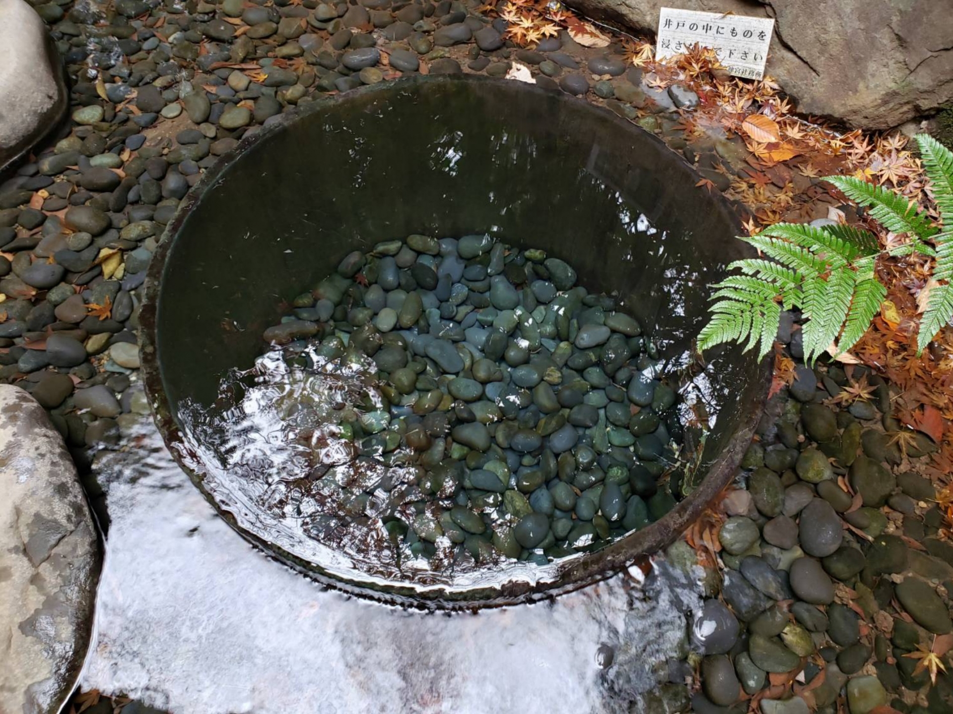 【井戸水の水質検査は義務？】検査方法と注意点を解説│飲料用は年1回の検査が必要