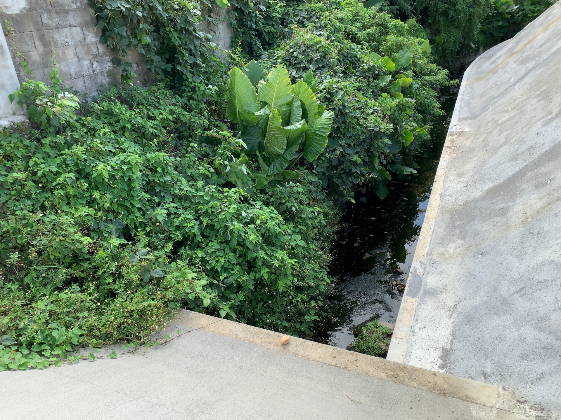 PFAS（ピーファス）による汚染とは？日本の対策と今後の動向を紹介