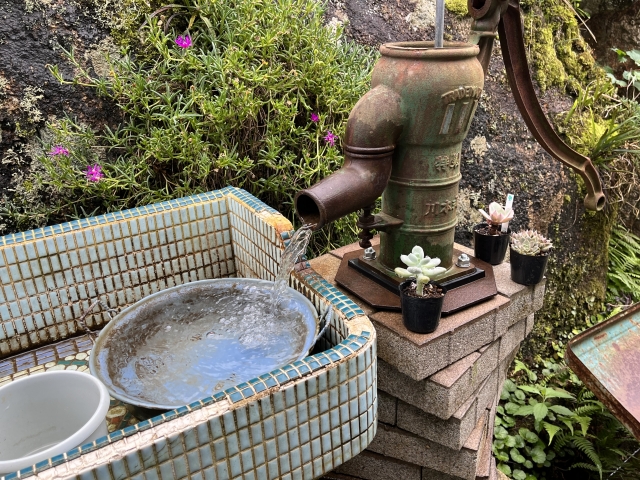 災害時の飲用利用を想定した井戸水の水質検査